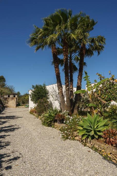 Сasa de vacaciones Can Beia Rural House Ibiza